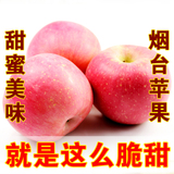 鲜御 山东烟台苹果 新鲜红富士水果 脆甜 农家10斤装85大苹果水果