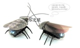 迷你电子遥控宠物萤光虫甲虫昆虫机器人智能整人仿真蟑螂儿童玩具