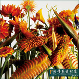 日本新概念花卉绿植栽培花艺雕塑装置装饰图片软装设计方案素材