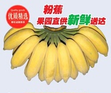 新鲜香蕉有机水果米蕉粉蕉皇帝蕉无催熟剂农家自种非批发包邮7斤