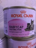 进口法国皇家1-4月幼猫奶糕BB猫罐头孕猫罐头猫湿粮195g 罐包邮