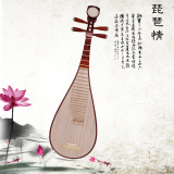 艺海民族弹拨琵琶乐器 特制红木琵琶 专业演奏 初学民族乐器送包