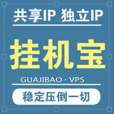 电信vps云服务器租用 独立多IP 挂QQ/QT/YY/网赚软件 月付挂机宝
