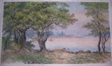 国画山水画朝鲜画风景画手绘油画收藏真品原作客厅办公室挂画树林
