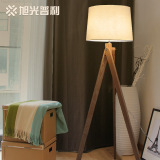 北欧宜家创意个性木质台灯时尚中式温馨客厅卧室现代简约落地灯具
