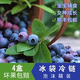 【优霸】新鲜蓝莓 空运智利蓝莓 4盒顺丰冷链泡沫箱包装 新鲜水果