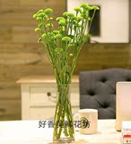 上海鲜花批发速递小菊进口绿色小雏菊 家居养花 一扎10支一扎起卖
