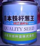 日本铁杆葱王 大葱种子 寿光主要出口内销大葱品种 一亩地两桶