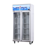 穗凌 LG4-482M2F大冰柜 商用立式冷藏玻璃展示 双门冷柜 陈列柜