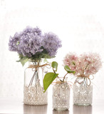 韩式宫廷风玻璃蕾丝小花瓶  插花 水培花器  餐厅家具桌面花艺