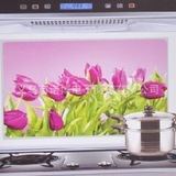 厨房用品 经典花朵韩国墙贴 高档耐高温铝珀防油贴纸 紫色郁金香