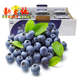 新鲜水果 智利有机蓝莓原箱12盒装 纯天然进口蓝莓鲜果 北京配送