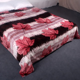 新款秋冬加厚法兰绒毛毯毛巾被保暖床单珊瑚绒休闲毯盖毯特价包邮