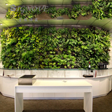 星格诺薇高端手工插制仿真绿植物壁挂装饰贴创意家居挂墙垂直绿化