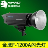 金鹰F1200A影室闪光灯1200W专业摄影棚灯光高端产品商业拍摄