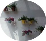 绿都铁艺花架子壁挂墙上墙壁室内阳台多层多肉植物盆栽花盆架特价