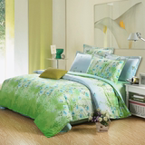 绿蝶梦单品床单全棉加厚单件单双人床被单枕套床笠床裙特价多规格