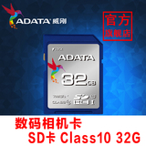 威刚SD/SDHC卡 Class10 32g 数码相机存储卡DV机内存卡32G