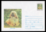 JB-YZF5罗马尼亚96邮资封邮资图及封图均为世界名犬拉萨阿普索犬