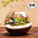 DIY微景观带灯生态瓶苔藓生日礼物创意摆件办公室植物盆栽七彩灯