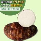 广西正宗荔浦芋头 有机新鲜蔬菜农家自产品 香芋头 5斤装 包邮
