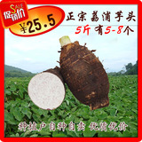 芋头 新鲜 正宗广西特产 荔浦芋头 5斤有5-8个绿色农产品优质香芋