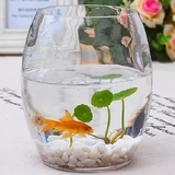 鹅蛋玻璃 水培 植物花瓶 透明 铜钱草绿萝 玻璃花盆 水培器皿