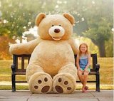 包邮2.6米陈乔恩同款大号泰迪熊毛绒玩具美国大熊，大熊情人节礼