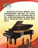 西洋民族乐器演奏音乐知识海报订制琴行教室装饰画挂图钢琴介绍