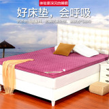 珊瑚绒立体加厚床垫 床褥子床护垫1.51.81.2米床护垫木板床单双人