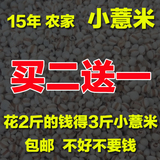 新货 薏米 有机薏仁米 优质 小薏米仁苡米仁 杂粮 农家自种500g
