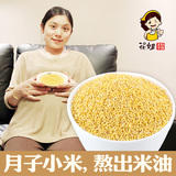 农家养生小黄米  宝宝杂粮非延安黄小米月子新米熬出米油 400g