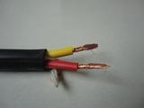橡套皮铜芯电线YC/YZ  2*6 平方2芯防水防老化耐磨电缆国标100米