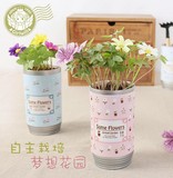DIY创意迷你植物栽培办公室桌面罐头花卉小盆栽易拉罐微景观绿植