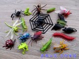 17款仿真昆虫模型儿童玩具蜘蛛甲虫强蜈蚣青蛙动物幼儿园教具套装