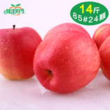 【臻果鲜生】甘肃静宁红富士苹果新鲜水果特产农产品14斤批发包邮