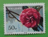 中国邮票T37山茶花（10--8）50分全品新散票邮品单枚价5元