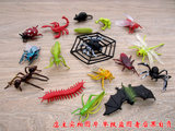 仿真昆虫模型玩具儿童礼物蜘蛛甲虫蝗虫蜻蜓蝎子动物认知摆件17款