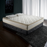1.5米1.8米双人大床垫软硬双功能席梦思椰棕床垫独立圆簧高档床垫