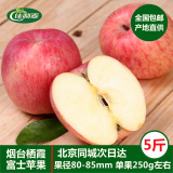 【佳利麦】富士苹果5斤约10个 山东烟台栖霞苹果80# 新鲜水果包邮