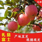 甘肃礼县红富士75mm苹果新鲜水果优质胜烟台栖霞蛇果10斤特价包邮
