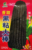 粘玉米 黑玉米种子批发 糯玉米草莓玉米菠萝玉米菜种子甜水果玉米