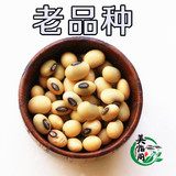 云南有机黄豆 农家老品种 非转基因 发豆芽豆浆专用 500克5斤包邮