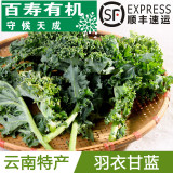 【成都百寿有机】 羽衣甘蓝750克特色新鲜蔬菜沙拉蔬菜西餐料理菜