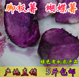农家有機新鲜蔬菜 脚板薯 蝴蝶薯 紫薯产地直销 满5斤全国包邮