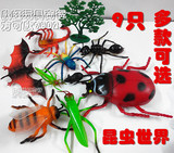恐龙玩具儿童仿真静态模型海洋野生动物昆虫恐龙玩具模型塑胶22款