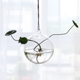 悬挂透明水晶玻璃花瓶现代欧式 玻璃吊球 创意水培花器 植吊瓶