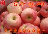 山东威海苹果 威海红富士苹果 新鲜水果源产地直发8省包邮