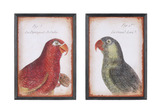 可立特 鹦鹉图案壁挂，两款 DE5632A
