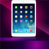 Apple/苹果 配备Retina显示屏的iPad mini 4G 16GB 移动4G